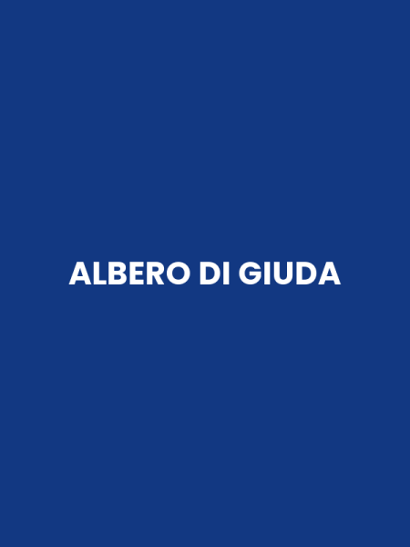 ALBERO DI GIUDA