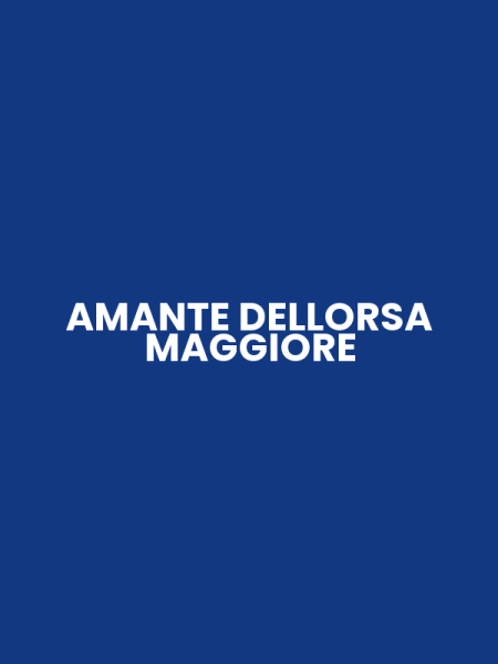 AMANTE DELLORSA MAGGIORE