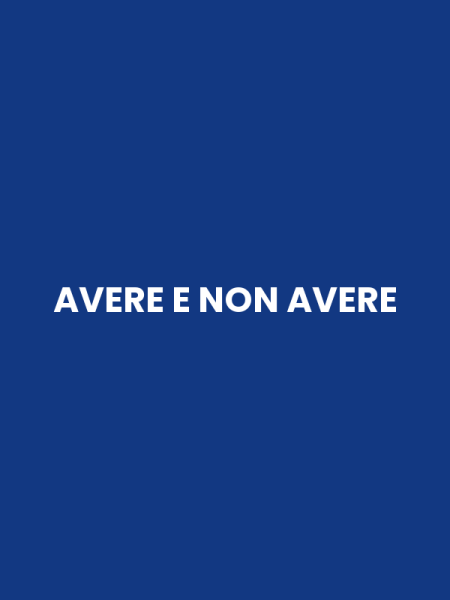 AVERE E NON AVERE