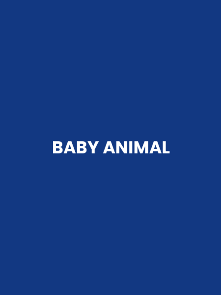 BABY ANIMAL