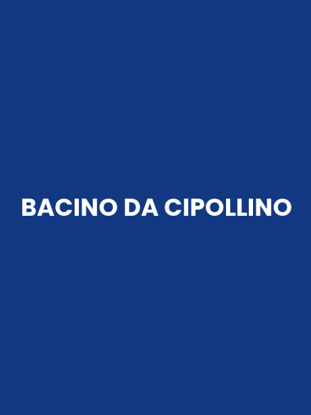 BACINO DA CIPOLLINO