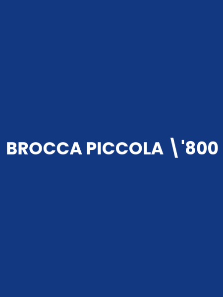 BROCCA PICCOLA '800