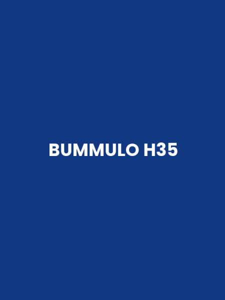 BUMMULO H35