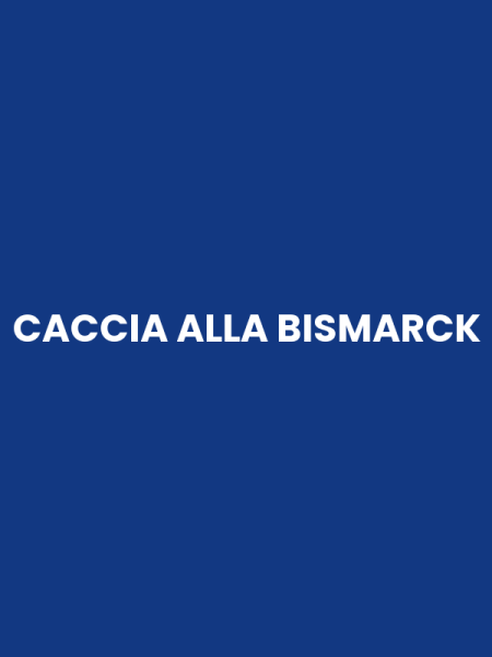 CACCIA ALLA BISMARCK