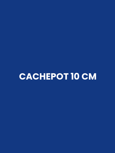 CACHEPOT 10 CM