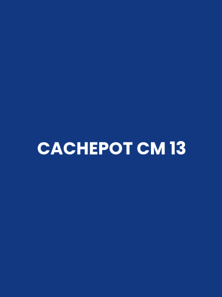 CACHEPOT CM 13