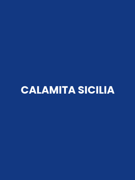 CALAMITA SICILIA