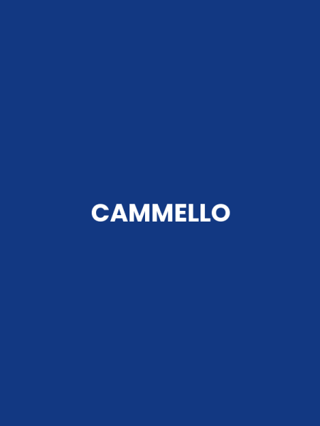 CAMMELLO