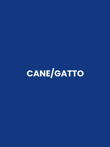 CANE/GATTO
