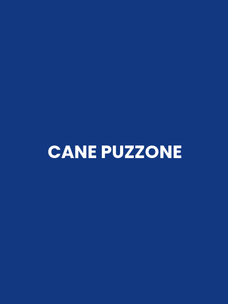 CANE PUZZONE