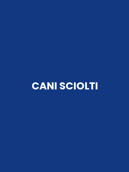 CANI SCIOLTI