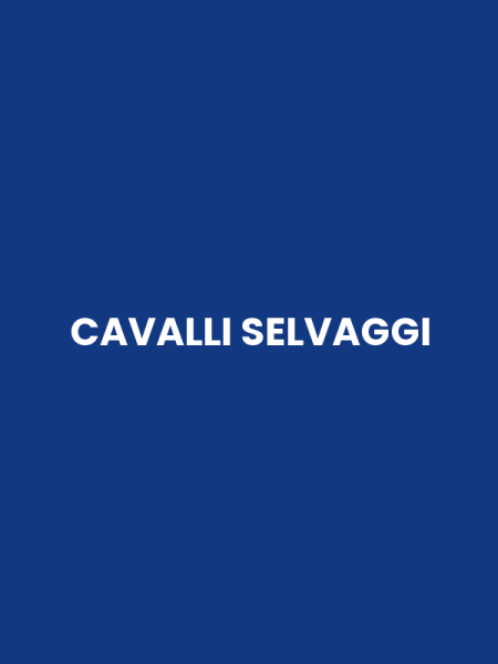 CAVALLI SELVAGGI