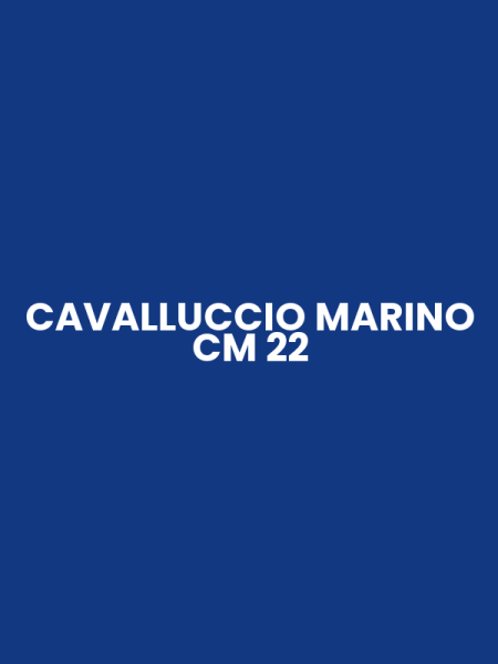 CAVALLUCCIO MARINO CM 22