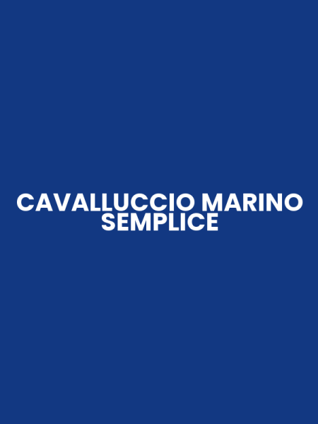 CAVALLUCCIO MARINO SEMPLICE