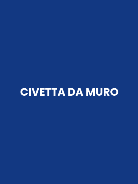 CIVETTA DA MURO