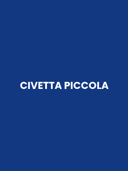 CIVETTA PICCOLA