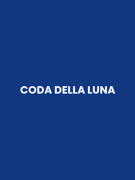 CODA DELLA LUNA