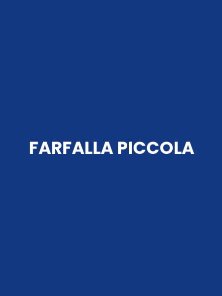FARFALLA PICCOLA