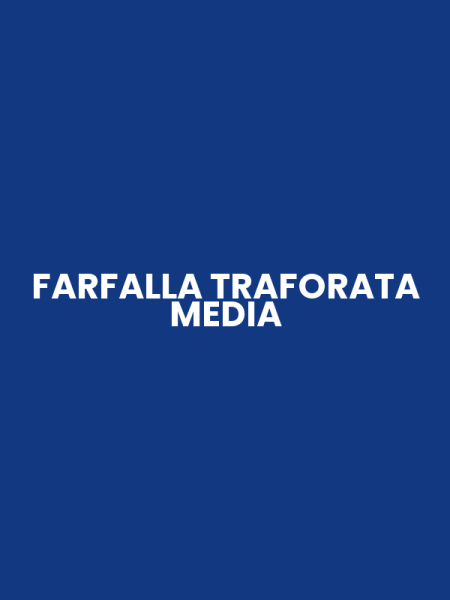 FARFALLA TRAFORATA MEDIA