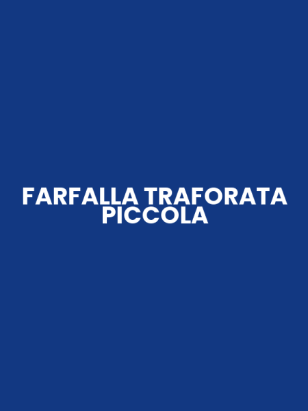 FARFALLA TRAFORATA PICCOLA