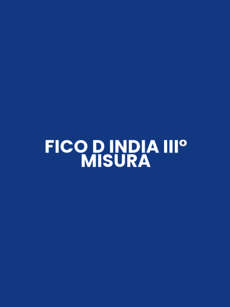 FICO D INDIA III° MISURA