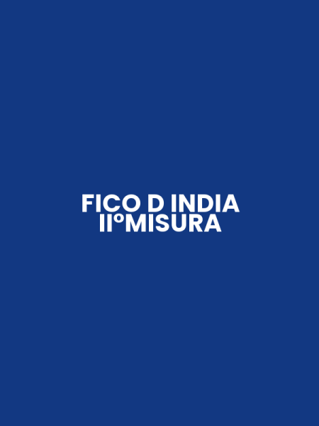 FICO D INDIA II°MISURA
