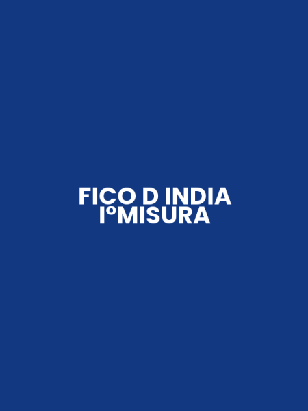 FICO D INDIA I°MISURA