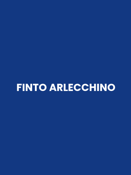 FINTO ARLECCHINO