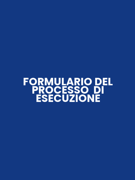 FORMULARIO DEL PROCESSO DI ESECUZIONE