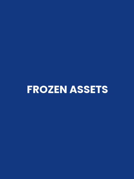 FROZEN ASSETS