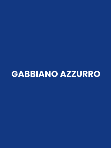 GABBIANO AZZURRO