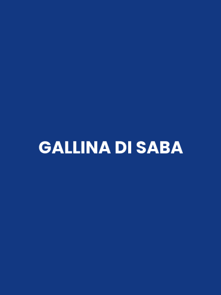GALLINA DI SABA