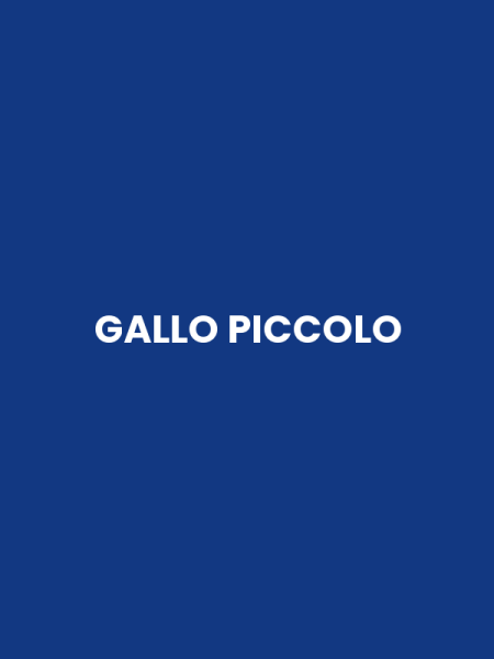 GALLO PICCOLO