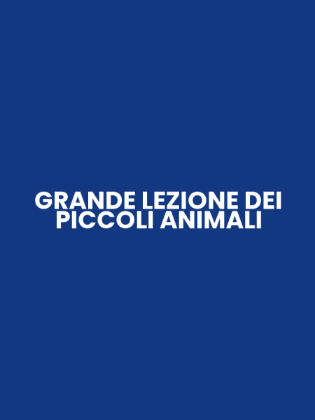 GRANDE LEZIONE DEI PICCOLI ANIMALI