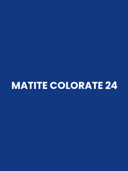 MATITE COLORATE 24
