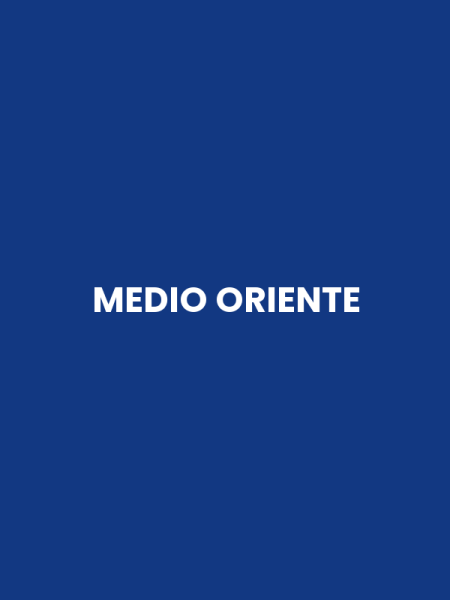 MEDIO ORIENTE