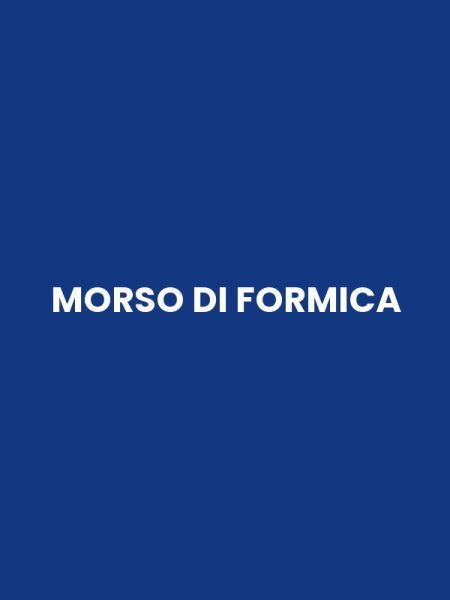 MORSO DI FORMICA