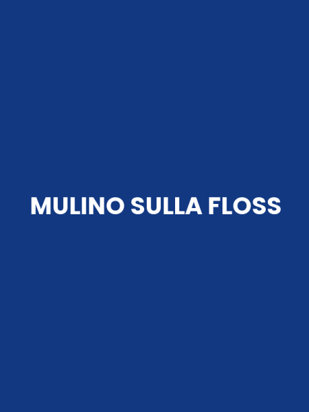 MULINO SULLA FLOSS