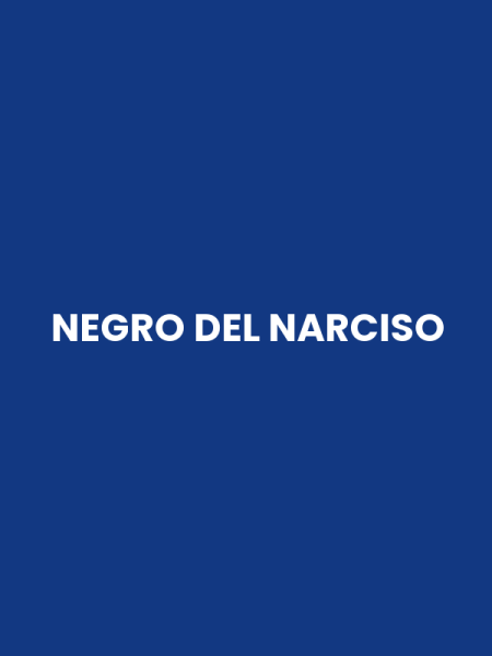 NEGRO DEL NARCISO