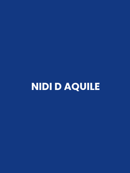NIDI D AQUILE