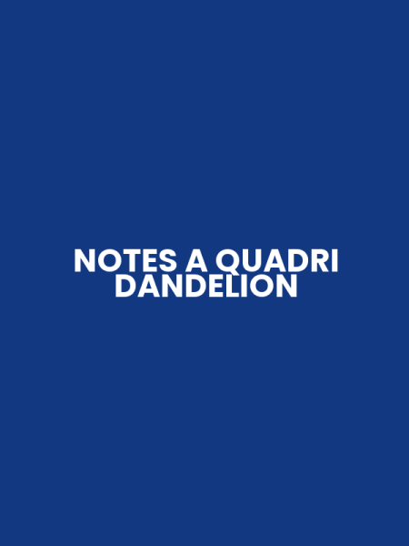 NOTES A QUADRI DANDELION
