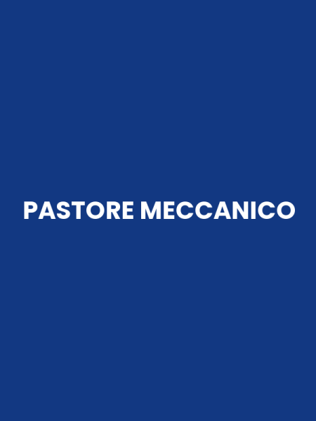 PASTORE MECCANICO