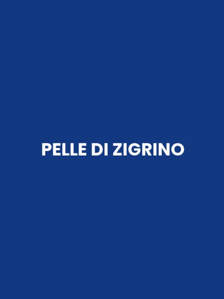 PELLE DI ZIGRINO