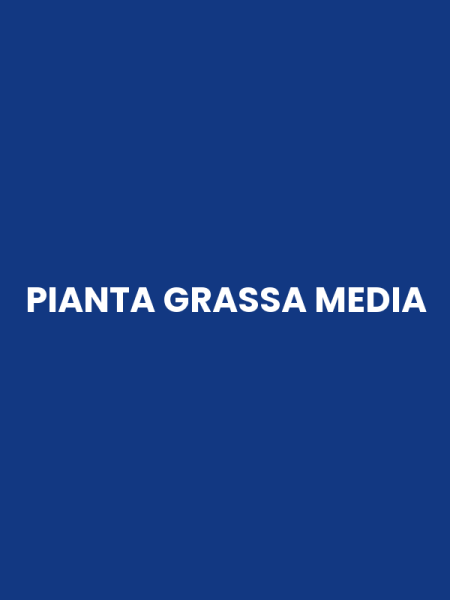 PIANTA GRASSA MEDIA