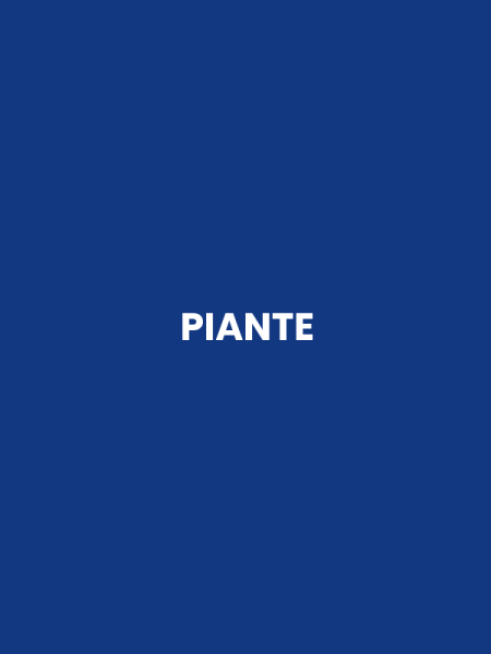 PIANTE