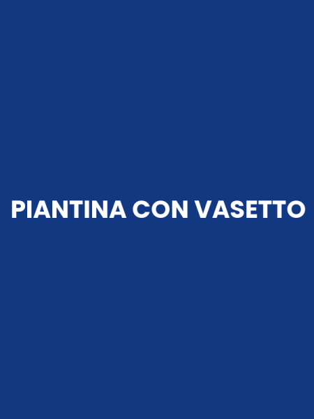 PIANTINA CON VASETTO