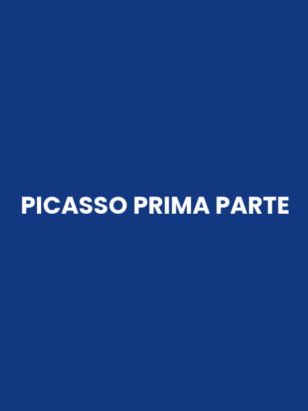 PICASSO PRIMA PARTE