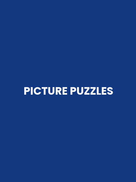 PICTURE PUZZLES
