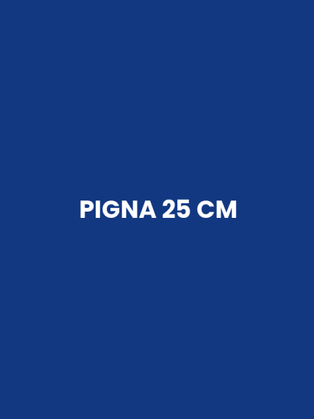 PIGNA 25 CM