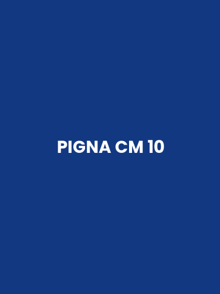 PIGNA CM 10